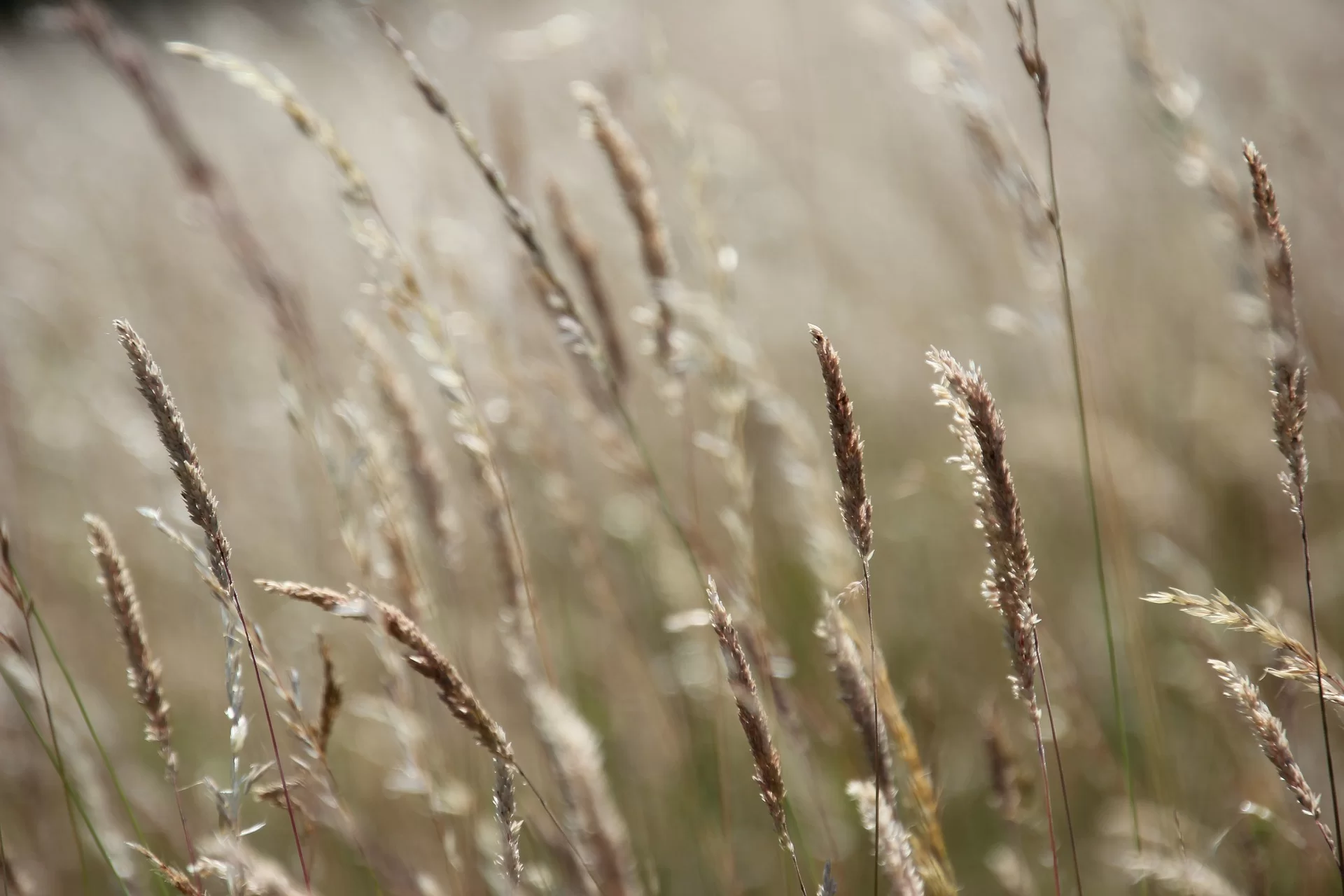 Do you dare to allow the power of silence as a HSP? 5 hints