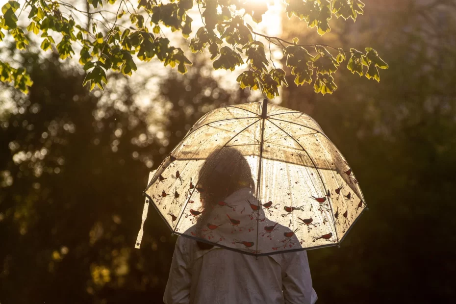 umbrella