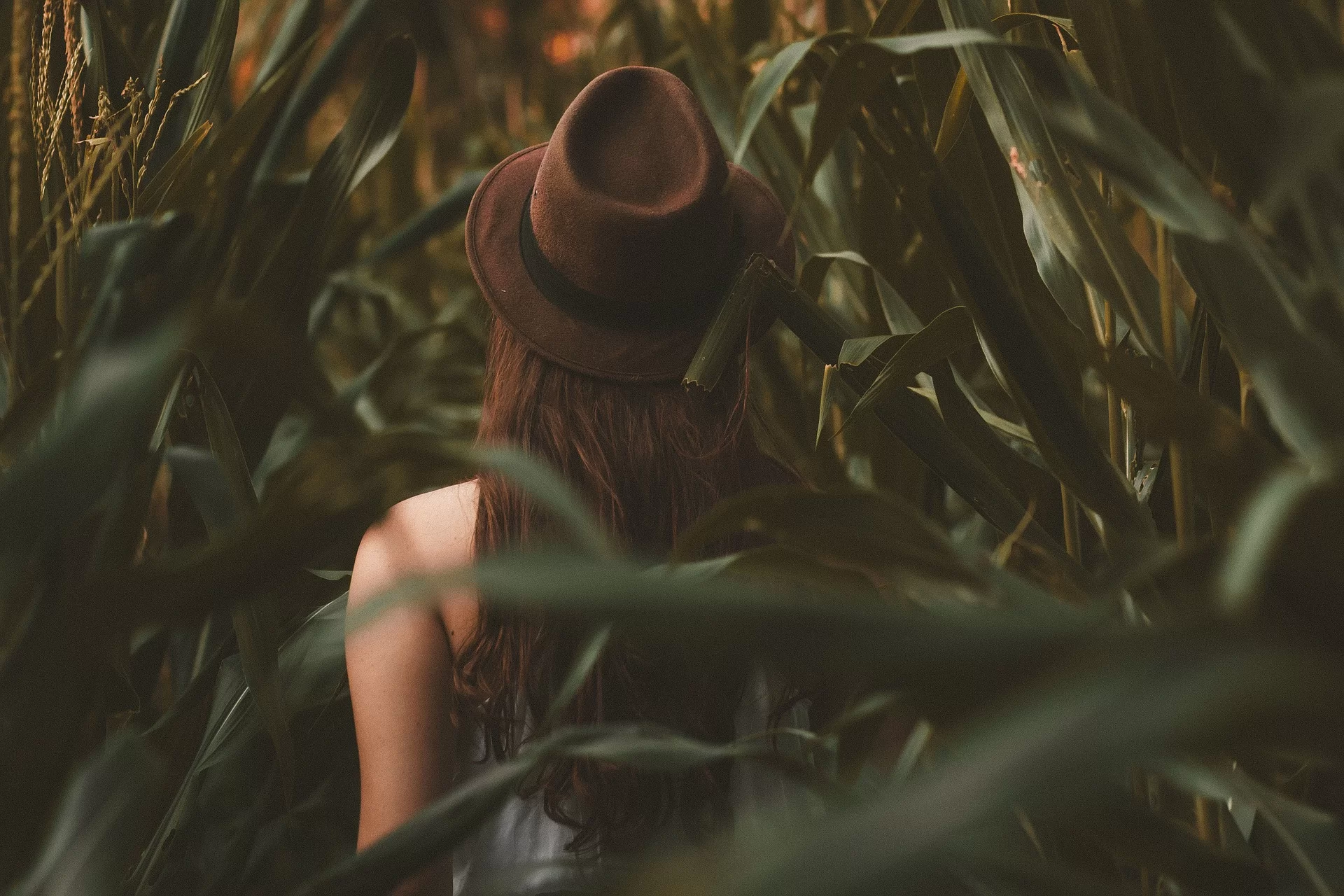 Is shyness the same as being an introvert/HSP?
